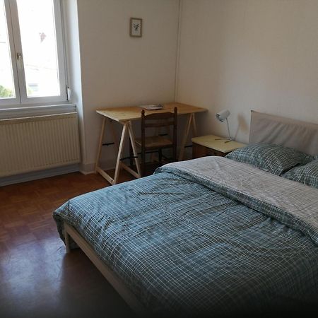 Appartement Entier, Proche Tram-Train Et Commodites, Parking Gratuit Mulhouse Bagian luar foto