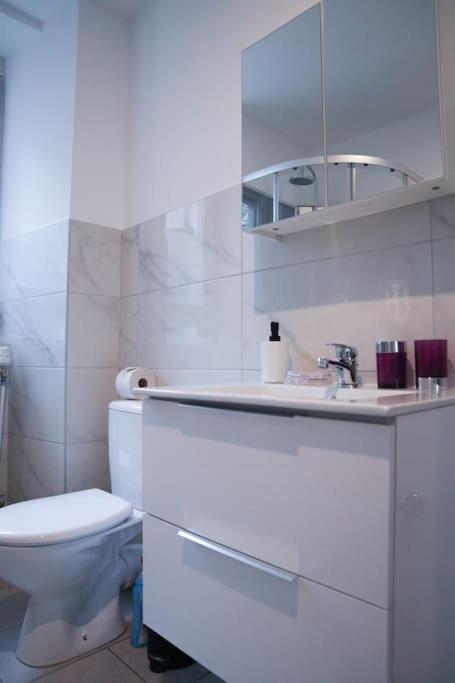 Appartement Entier, Proche Tram-Train Et Commodites, Parking Gratuit Mulhouse Bagian luar foto
