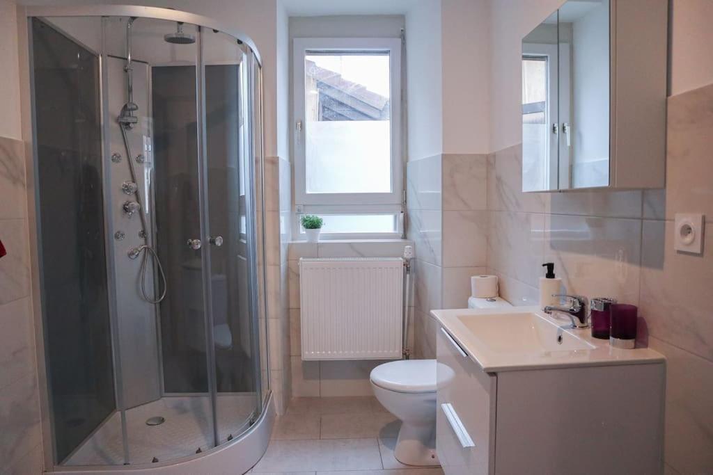 Appartement Entier, Proche Tram-Train Et Commodites, Parking Gratuit Mulhouse Bagian luar foto